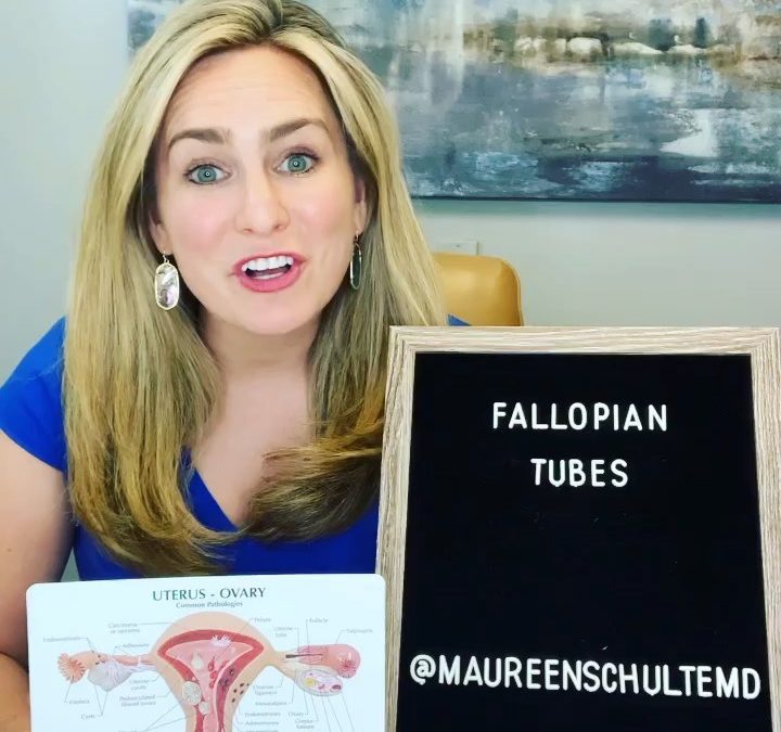 Fertility Minute: The role of Fallopian Tubes in family building and how to Protect them!!